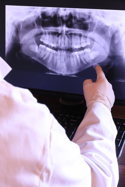 Best Emergency X-Rays and Diagnostics in Troy, MI